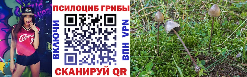 Псилоцибиновые грибы Magic Shrooms  где купить наркоту  Пионерский 