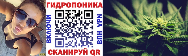 MEGA онион мориарти состав Конопля тримм Пионерский